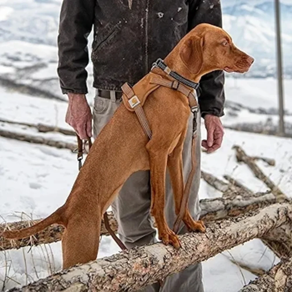 NWT • CARHARTT No Pull Dog Harness w/ Reflective Accents • MEDIUM (Brown)